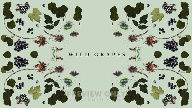 Wild_Grapes_WIDE-TITLE-2#preset=tg_title2.jpg