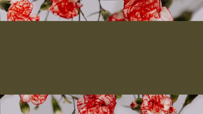 floral details - 3