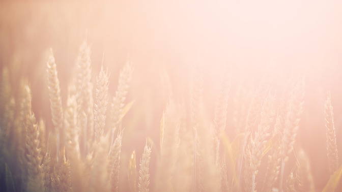 Uncovering_The_Hidden_Things_16x9-BACKGROUND#preset=tg_bg.jpg