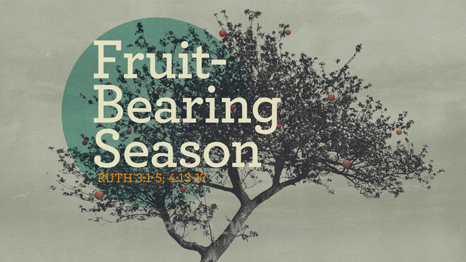 fruit-bearing season