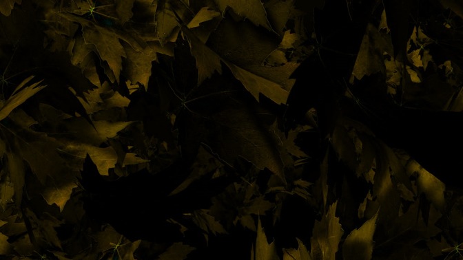Leaves_Green_16x9.jpg