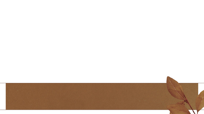 Autumn Nature_L3_TH_Main_WIDE#preset=tg_transparent_png_preview.jpg
