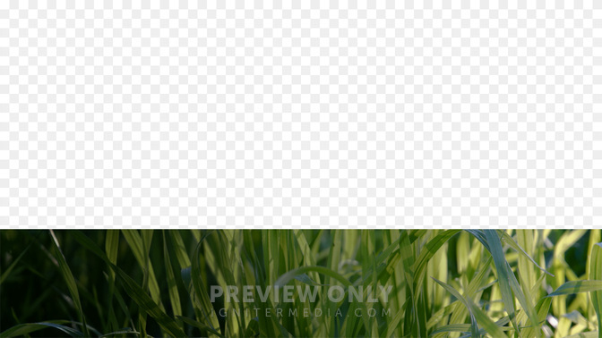 Welcome-WIDE#preset=tg_transparent_png_preview.jpg