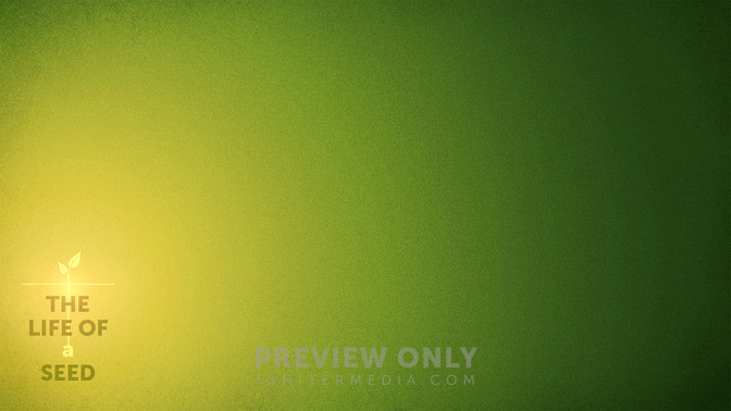 The_Life_of_a_Seed_16x9-CONTENT-2#preset=tg_alt2.jpg
