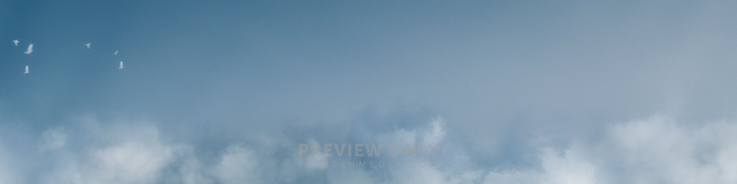Reset_Clouds_Birds_UW_SD.jpg