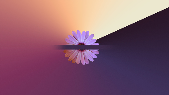 SpringForward_WIDE-#preset=tg_title3.jpg
