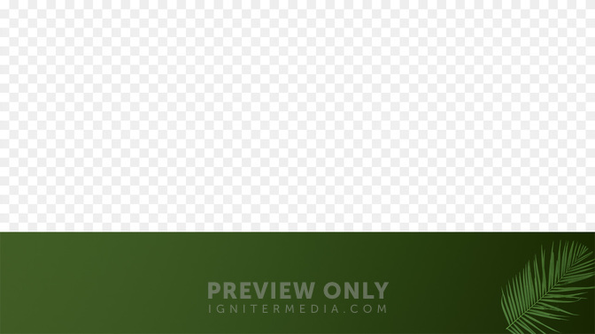 PalmWelcome-WIDE#preset=tg_transparent_png_preview.jpg