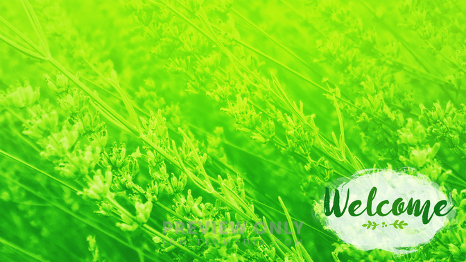 Flower_Fields-Welcome_WIDE-CONTENT-2#preset=tg_alt2.jpg