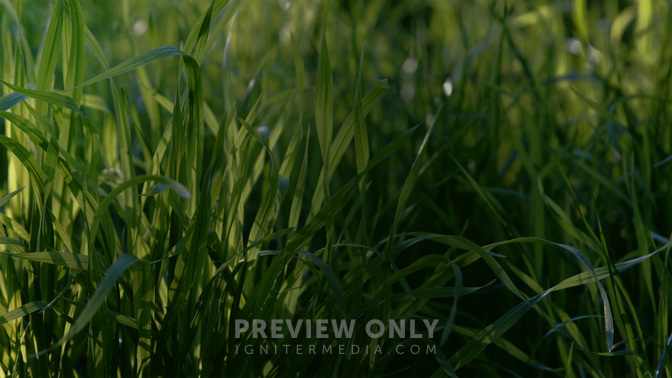Welcome-WIDE#preset=tg_alt2.jpg