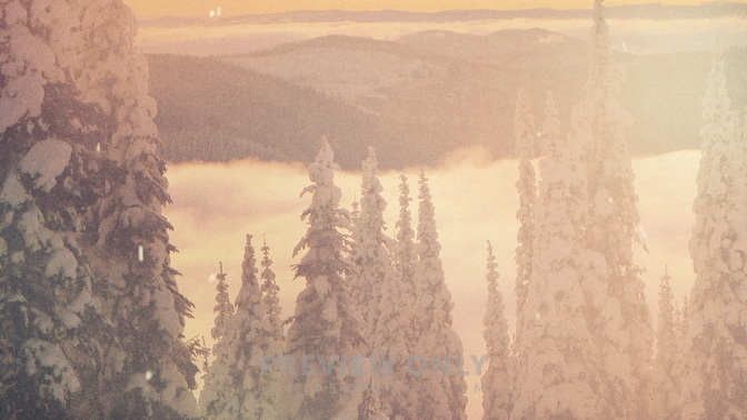 Scenic_Christmas_TreeTops_HD.jpg