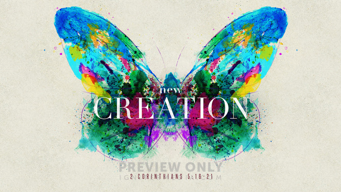 new creation