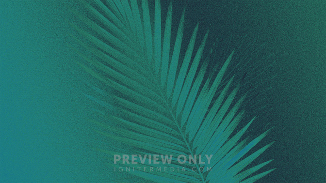 Gradient_2_Easter Gradient_TT3_Palm_Welcome_WIDE#preset=tg_title3.jpg
