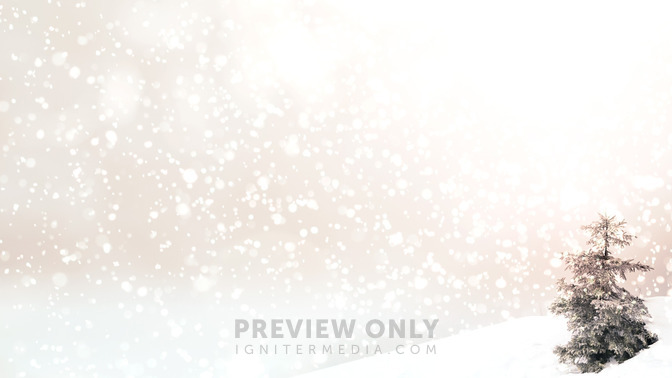 Snowy_Tree_-_Winter_Events_16x9-BACKGROUND#preset=tg_bg.jpg