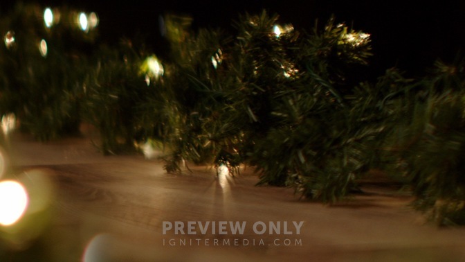 Garland_Lights_Far_HD.jpg