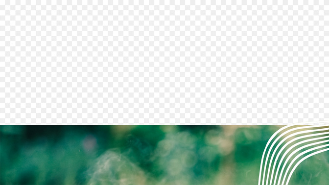 Summer Sun_L3_TH_BackyardBBQ_WIDE#preset=tg_transparent_png_preview.jpg