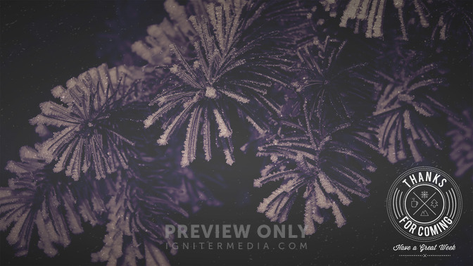 Winter_Woods_-_Thanks_For_Coming_16x9-CONTENT-1#preset=tg_alt1.jpg