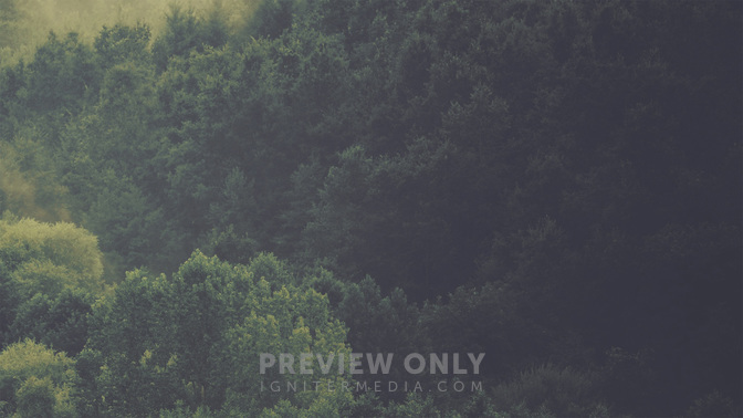 The_Indwelling_Word_WIDE-CONTENT-3#preset=tg_alt3.jpg
