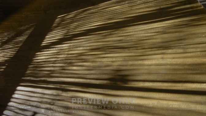 Shadow_Cast_1_16x9.jpg