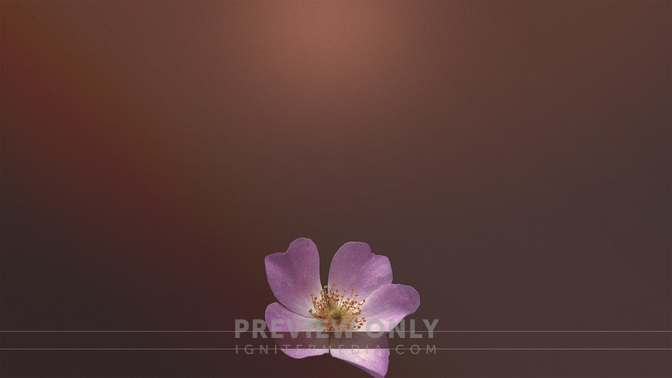 Simple_Flowers-Upcoming_Events_WIDE-CONTENT-3#preset=tg_alt3.jpg