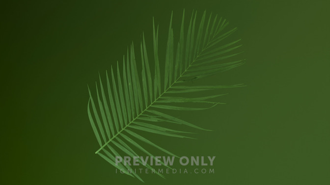 Easter_Ink_Palm_01_HD.jpg