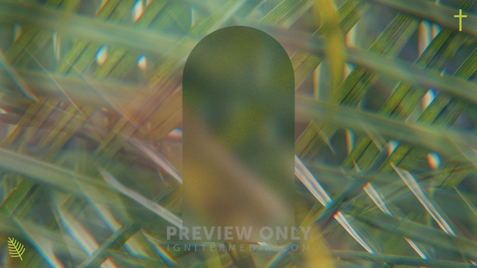 Easter Textures_Easter Texture_TT3_Palm_Sunday_WIDE#preset=tg_title3.jpg
