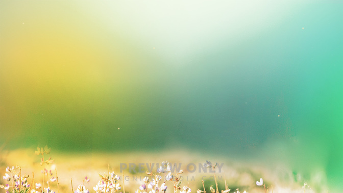 Offering_Fields_of_Bloom_WIDE-BACKGROUND#preset=tg_bg.jpg