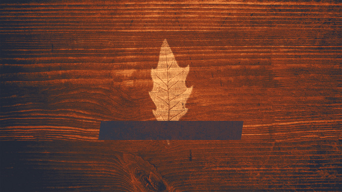 Wood_Leaves-Goodbye_WIDE-TITLE-3#preset=tg_title3.jpg