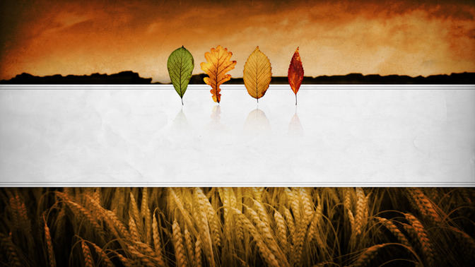 See_You_Soon_16x9-TITLE-3#preset=tg_title3.jpg