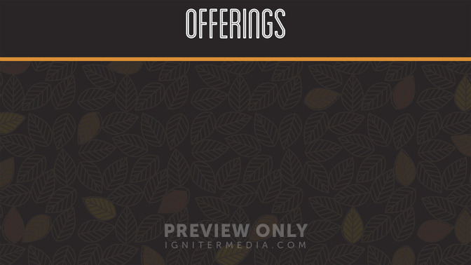 Fall_Leaves_-_Offerings_16x9-CONTENT-2#preset=tg_alt2.jpg