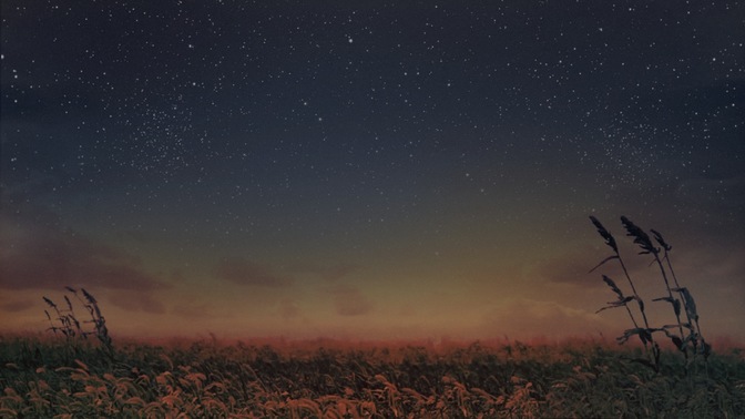 Starry_Night_Wheat_16x9.jpg