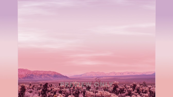 Desert_Pink_04_HD.jpg