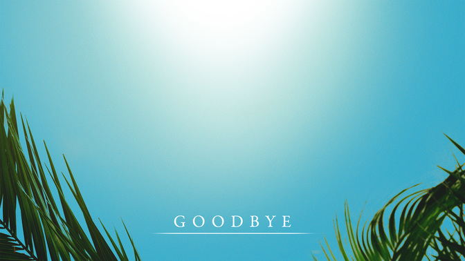 PalmSundayGoodbye_WIDE-#preset=tg_alt1.jpg