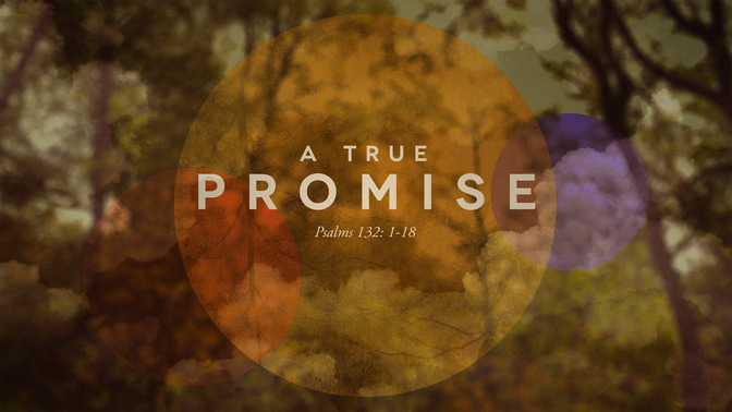 a true promise