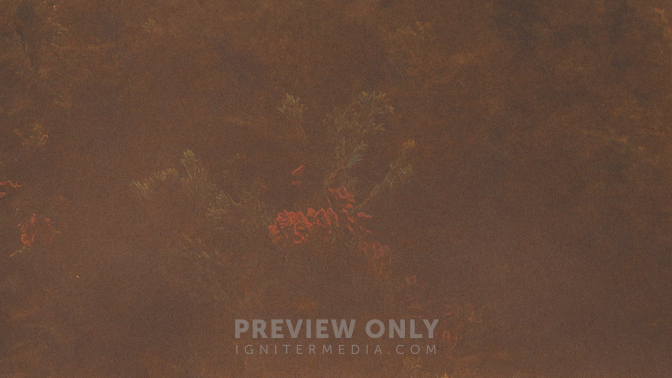 WB_Brown_Trees_HD.jpg