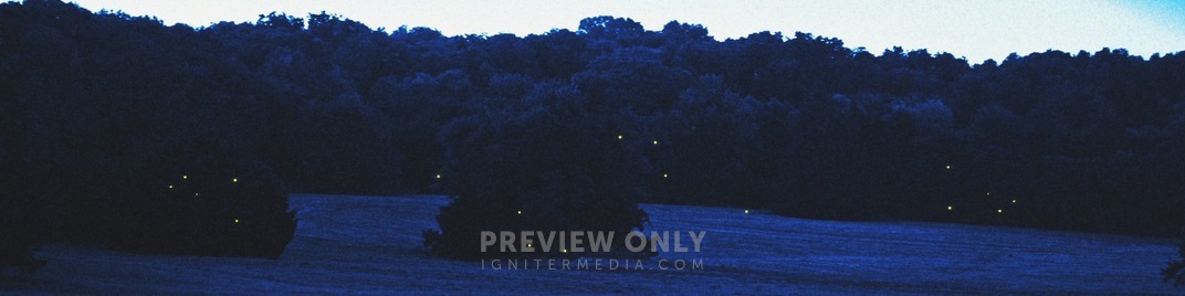 Fireflies_Hollow_UW_SD.jpg