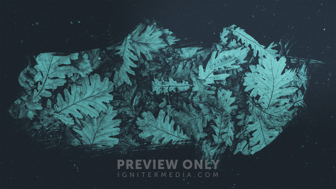 Brushed_Leaves-Welcome_WIDE-TITLE-3#preset=tg_title3.jpg
