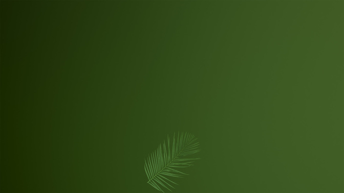 PalmWelcome-WIDE#preset=tg_alt2.jpg