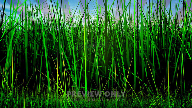 Welcome_First_Time_Guests_16x9-TITLE-3#preset=tg_title3.jpg