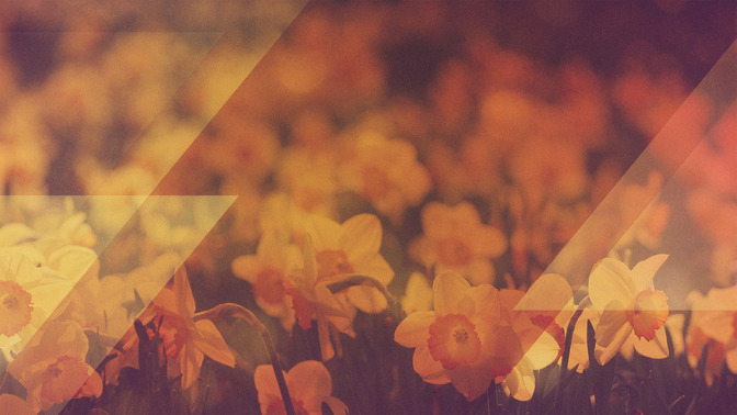 Morning_Flowers_-_God_Bless_16x9-TITLE-3#preset=tg_title3.jpg