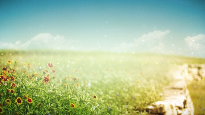 Field-1280x720.jpg