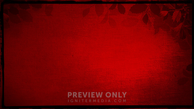 Joy_Is_Born_WIDE-BACKGROUND#preset=tg_bg.jpg