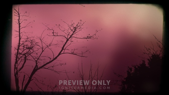 Branch_4_16x9.jpg
