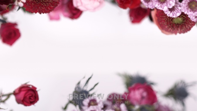 Spring_Floral_Flowers_Overhead_HD.jpg