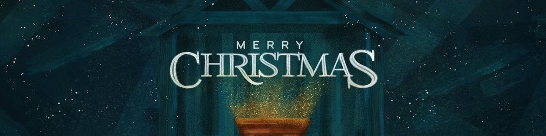 jeweled brush christmas - merry christmas