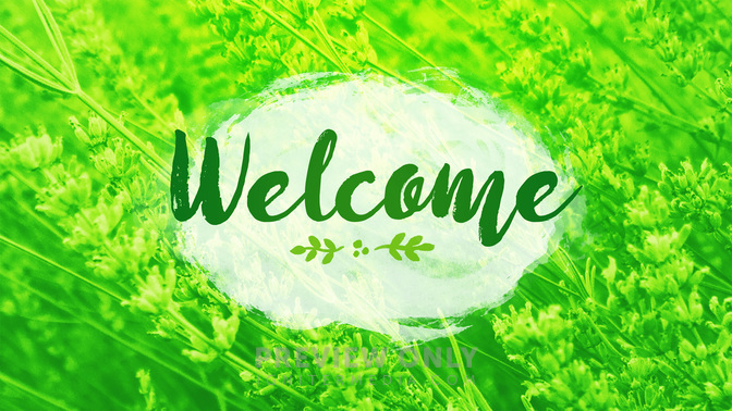 Flower_Fields-Welcome_WIDE-TITLE-2#preset=tg_title2.jpg