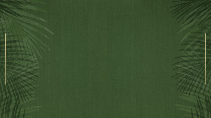 Palm_WB_HD.jpg