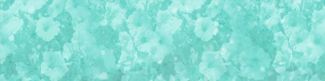 Blue_Flowers_MS_1920x480.jpg