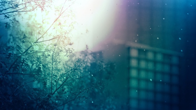 CityBlossomsBlue-1280x720.jpg
