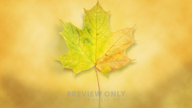 Change_16x9-TITLE-3#preset=tg_title3.jpg