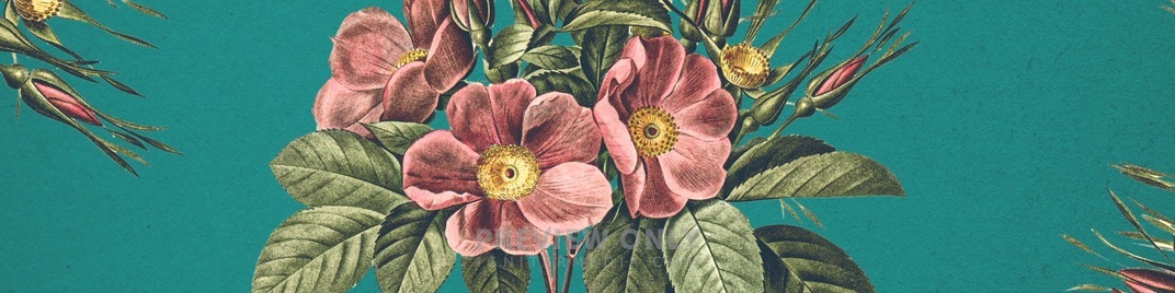 Mothers_Day_Flowers_3_UW_SD.jpg